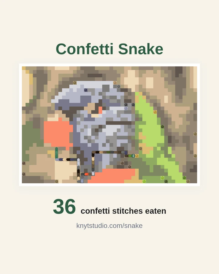 A Confetti Snake share card: the lorikeet pattern with a striped yarn snake on it and the score, 36 confetti stitches eaten