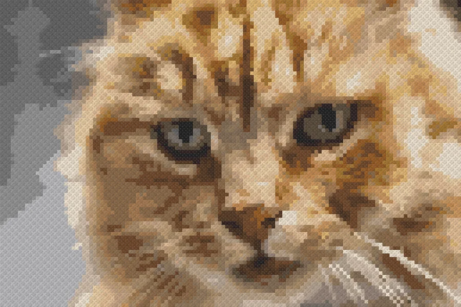 Cat photo converted into a cross stitch pattern, rendered as realistic stitches in matched DMC colors